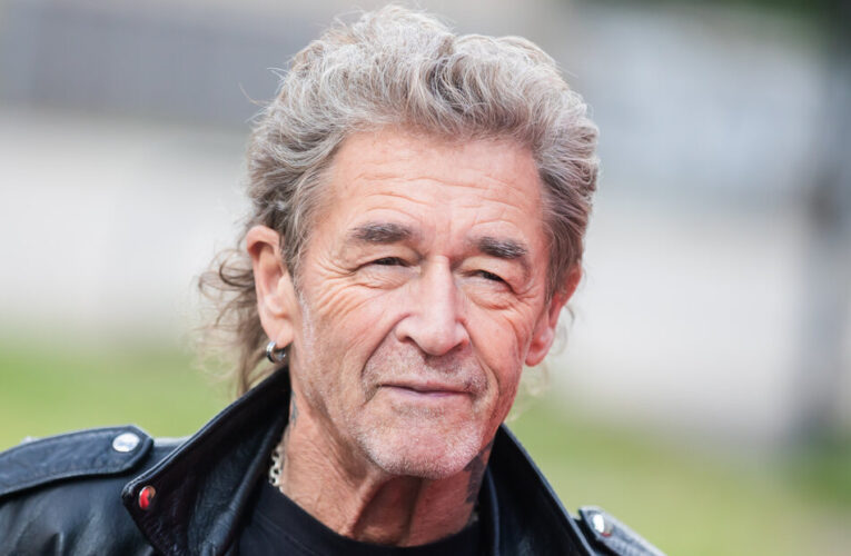 Peter Maffay Net Worth