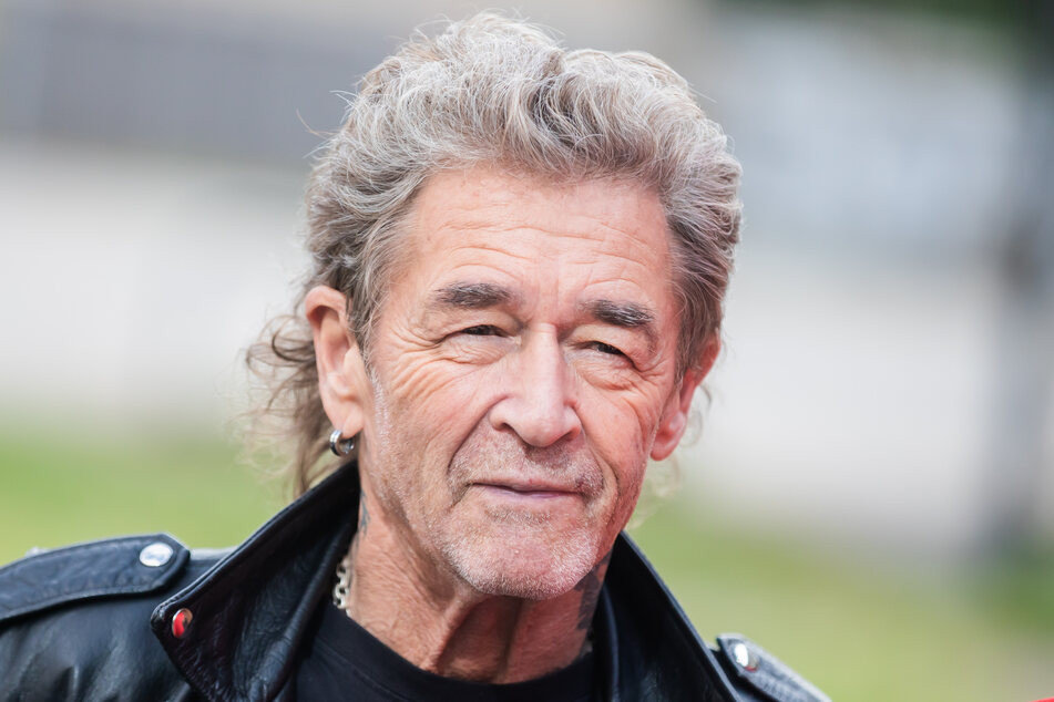 Peter Maffay Net Worth